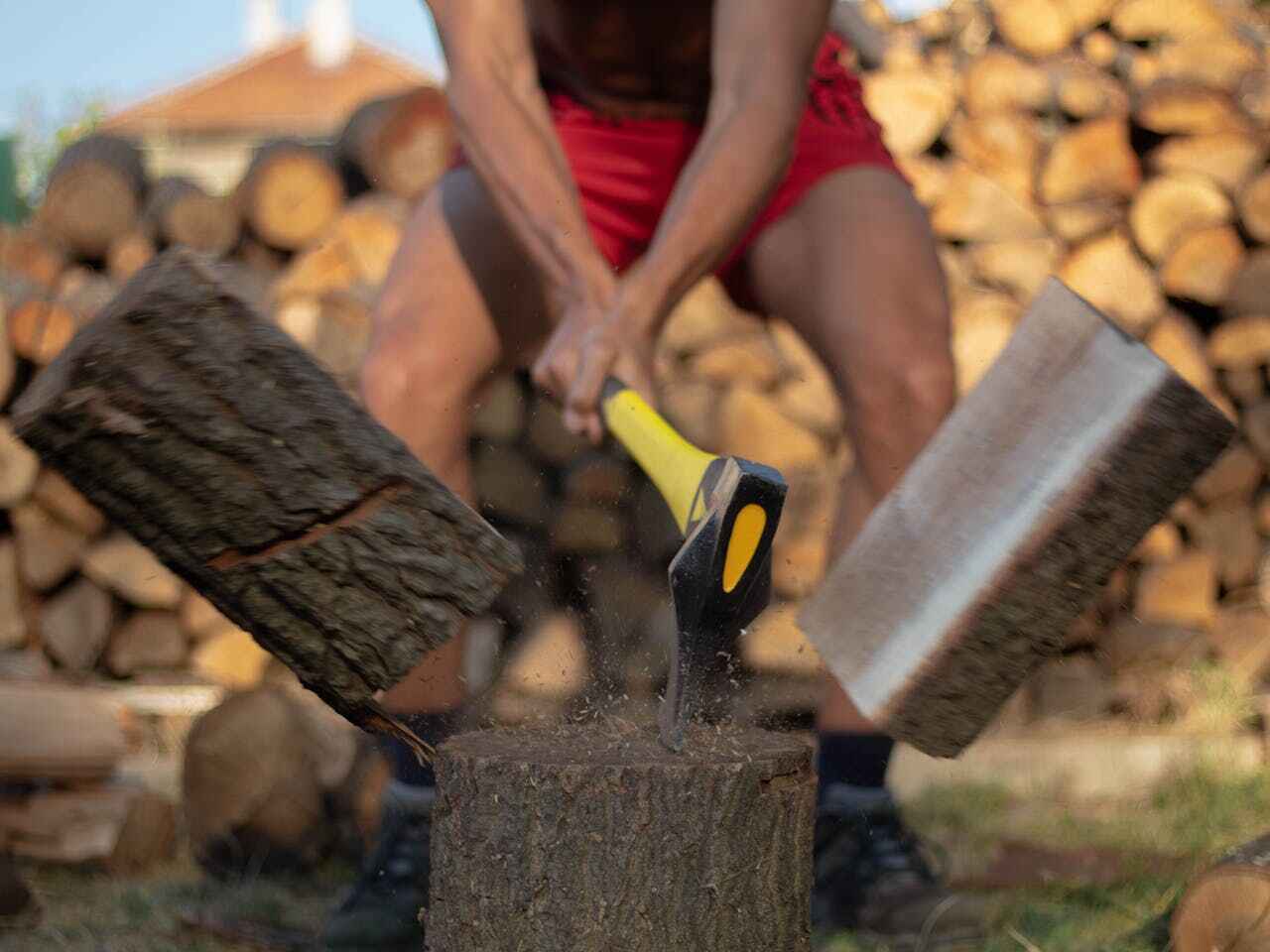 Emergency Storm Tree Removal in Arnold, MO